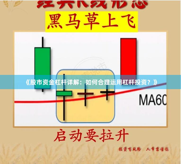 《股市资金杠杆详解：如何合理运用杠杆投资？》