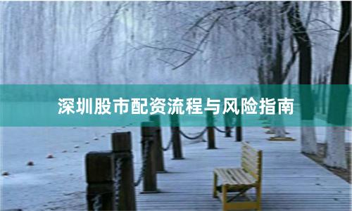 深圳股市配资流程与风险指南