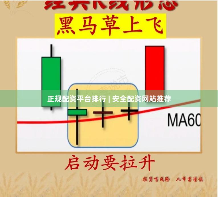 正规配资平台排行 | 安全配资网站推荐
